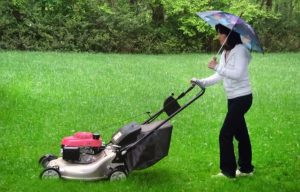 Choosing the Right Type of Mower For Your Property