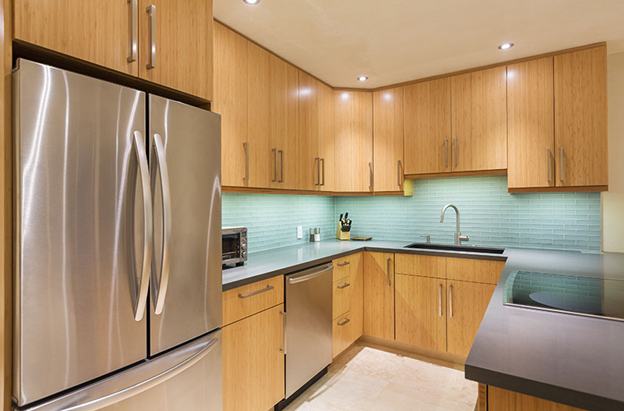 Bamboo Kitchen Cabinets