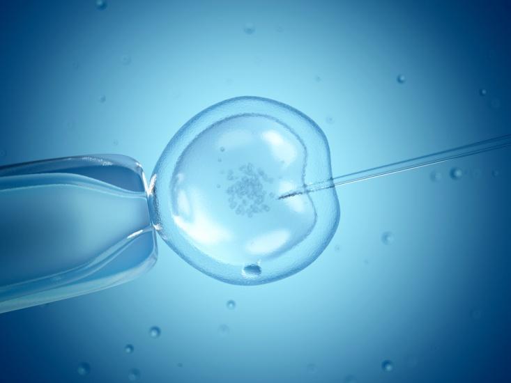 How IVF Helps in conceiving after menopause-?