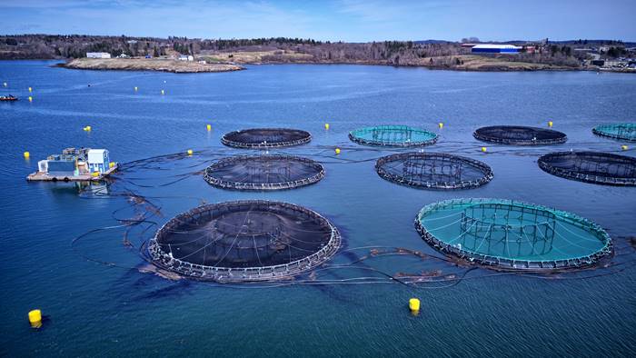 Aquaculture Market