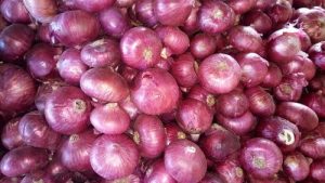 Indian Onion Powder Market Report