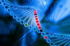 transfection technologies market