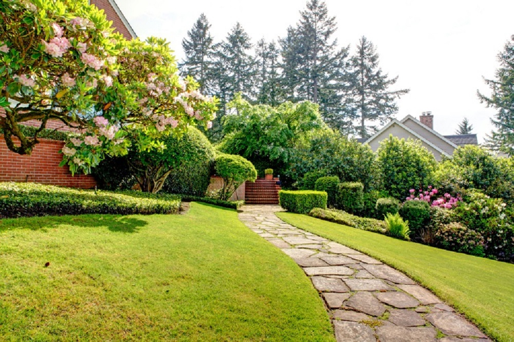 Using professional garden services to care for and maintain your lawn and garden is a simple and effective way of getting that dream home exterior