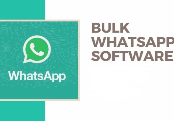 WhatsApp Bulk SMS