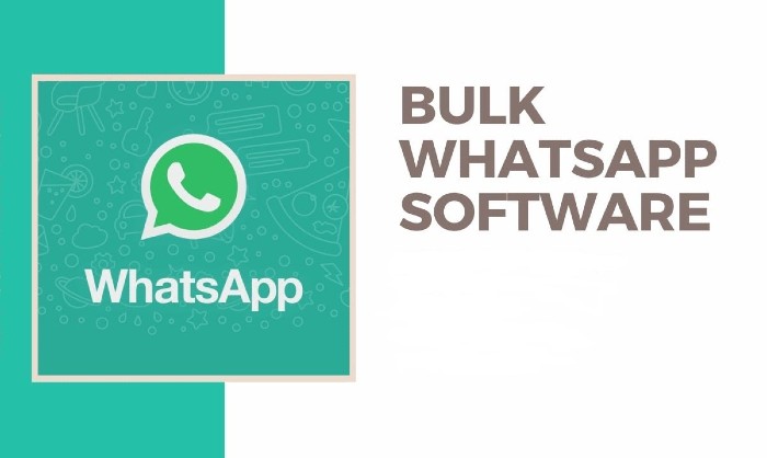 WhatsApp Bulk SMS