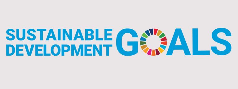 un sustainable development goals