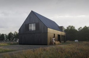 Contemporary Architecture